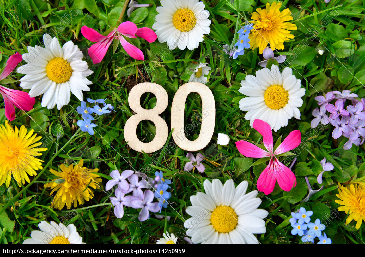 80 Geburtstag Blumen
 80 Geburtstag Zahlen Lizenzfreies Bild