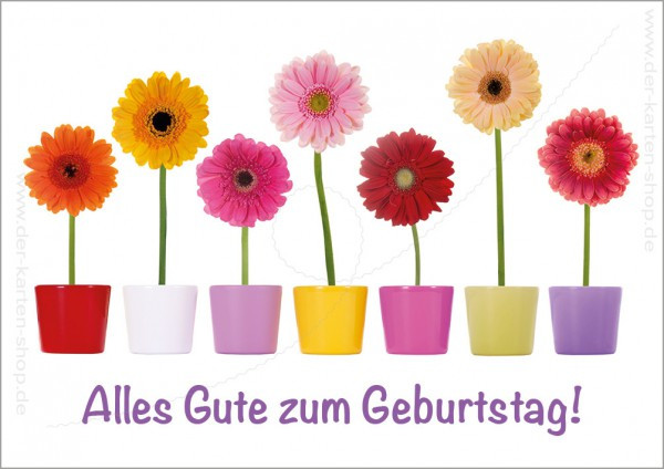 Alles Gute Zum Geburtstag Blumen
 Doppelkarte Geburtstagskarte bunte Blumentöpfe mit Gerbera