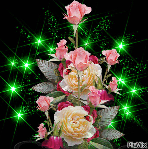 Alles Gute Zum Geburtstag Blumen Gif
 25b2b 496×500 pixeles G I F S