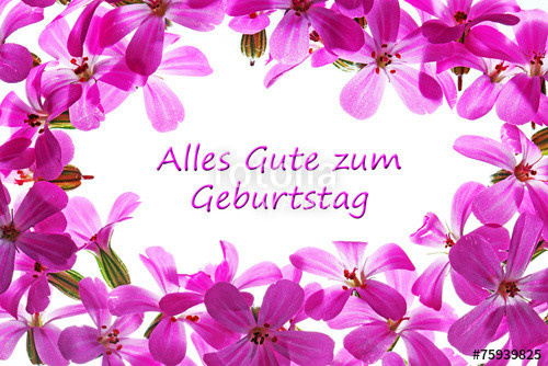 Alles Gute Zum Geburtstag Mit Blumen
 "Zum Geburtstag Blumen" Stockfotos und lizenzfreie Bilder