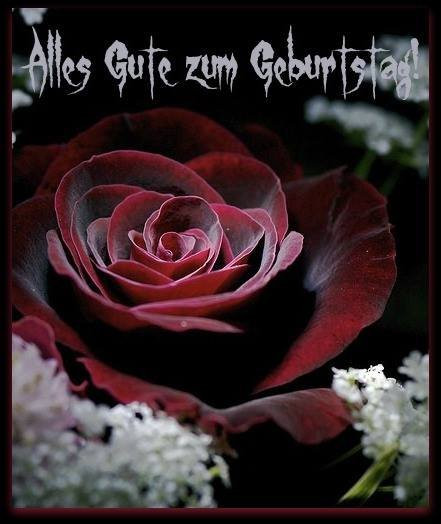 Alles Liebe Zum Geburtstag Blumen
 70 Geburtstagsbilder von Blumen Alles Liebe zum Geburtstag