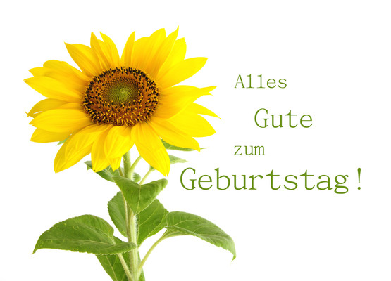 Alles Liebe Zum Geburtstag Blumen
 Alles Gute zum ♥ danzer ♥ POKAmax