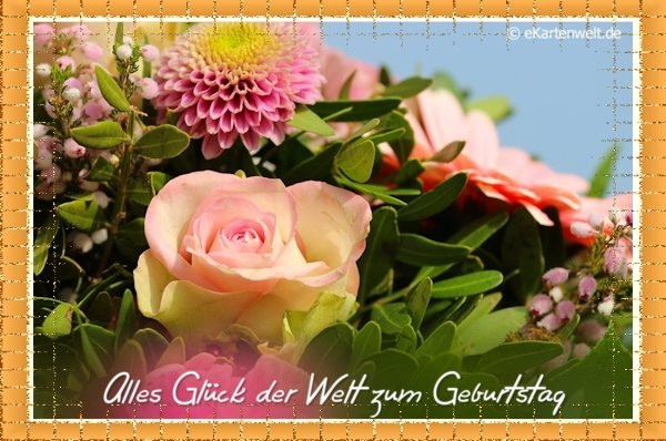 Alles Liebe Zum Geburtstag Blumen
 Alles Glück der Welt zum Geburtstag 256 Alles Liebe zum