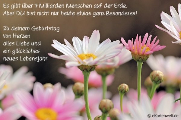 Alles Liebe Zum Geburtstag Blumen
 Zu deinem Geburtstag von Herzen alles Liebe 326 Alles