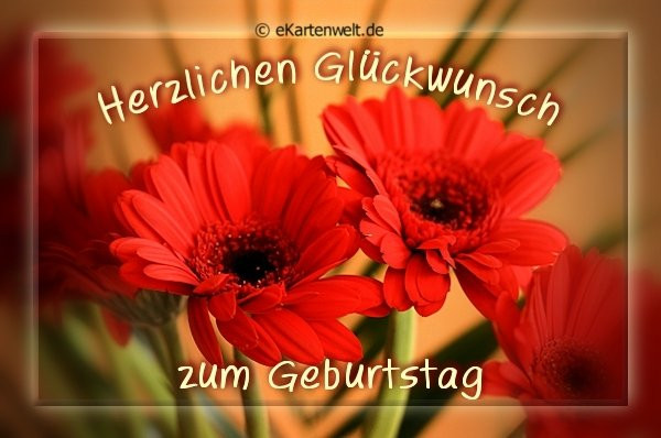 Alles Liebe Zum Geburtstag Blumen
 60 Geburtstagsbilder von Blumen Alles Liebe zum Geburtstag