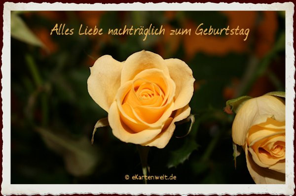 Alles Liebe Zum Geburtstag Blumen
 Alles Liebe nachträglich zum Geburtstag 202 Alles Liebe