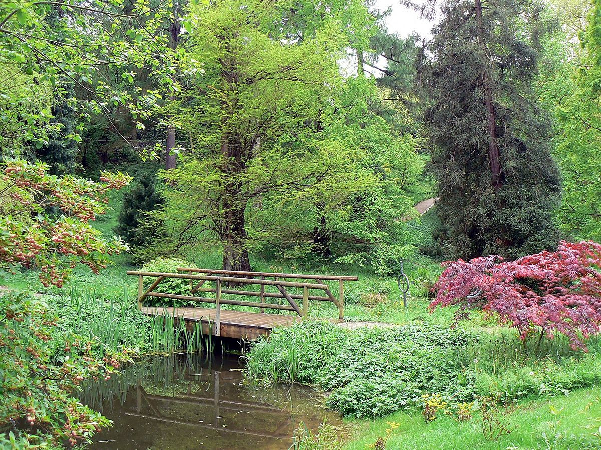 Alter Botanischer Garten Kiel
 Liste der Naturdenkmale in der Stadt Kiel –