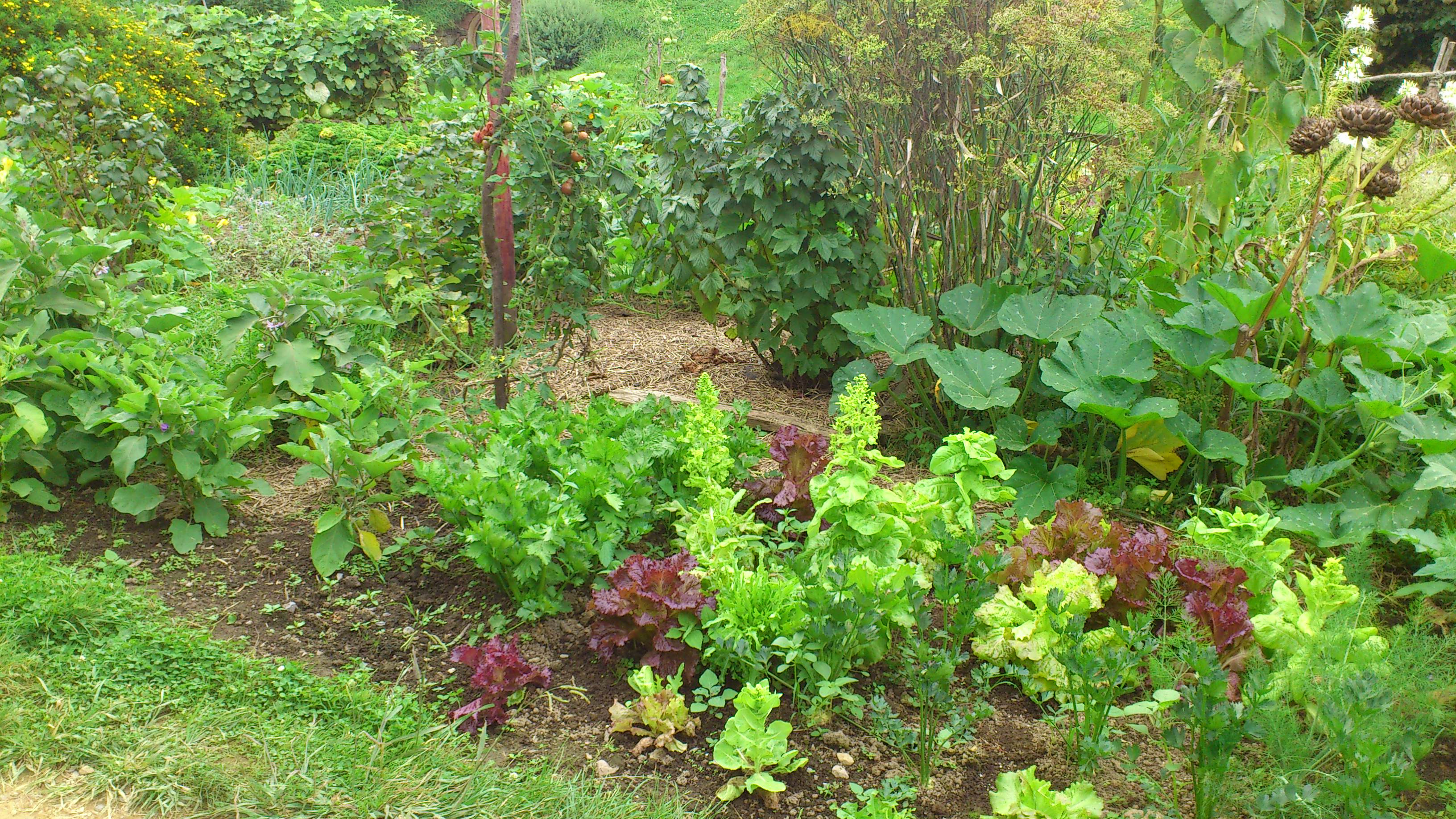 As Garten
 Garten anlegen Tipps und Infos zur Gartengestaltung