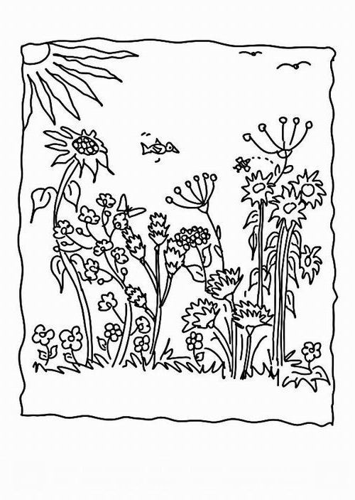 Ausmalbilder Blumenwiese
 Ausmalbilder Malvorlagen – Blumenwiese kostenlos zum
