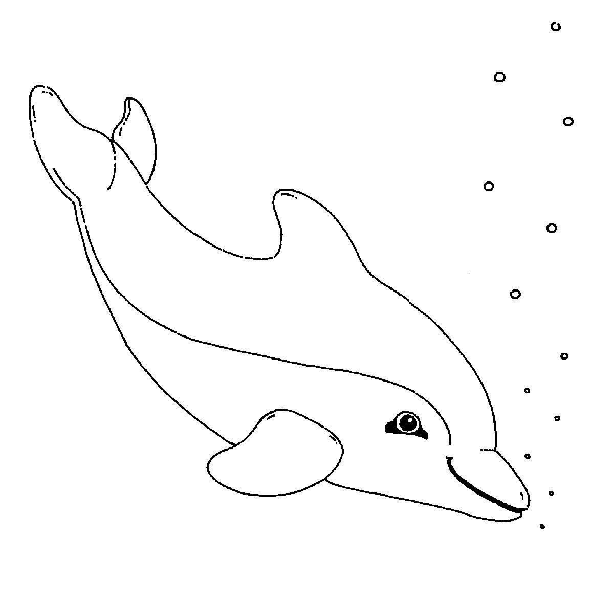 Ausmalbilder Delfin
 Kostenlose Malvorlage Delfine und Wale Ausmalbild Delfin