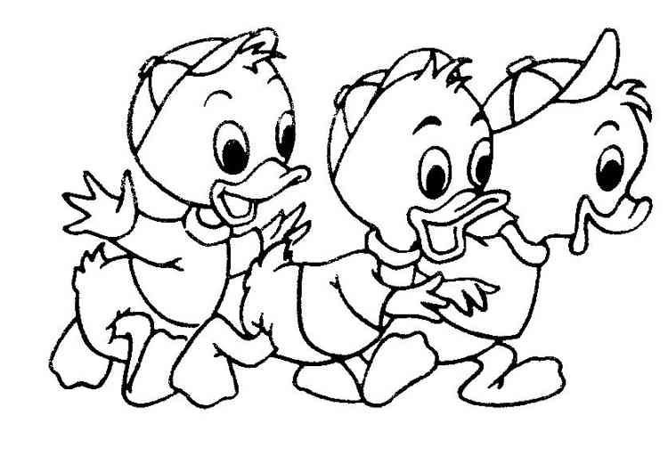 Ausmalbilder Donald Duck
 donald duck ausmalbilder – Ausmalbilder für kinder