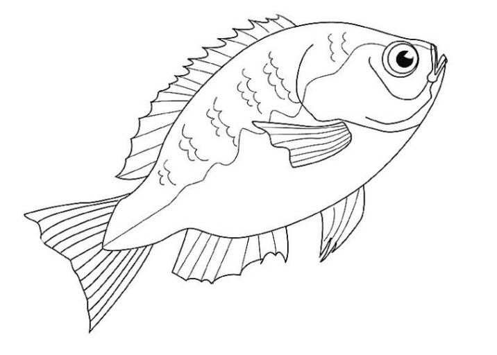 Ausmalbilder Fische Kostenlos
 Malvorlagen zum Ausdrucken Ausmalbilder Fische kostenlos 3