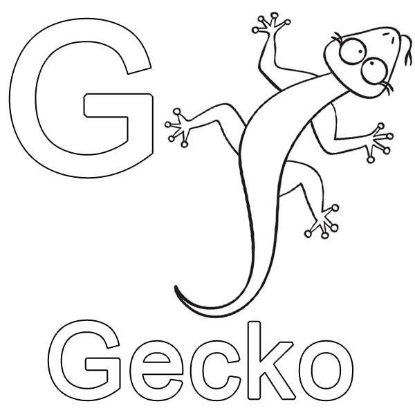 Ausmalbilder Gecko
 Kostenlose Malvorlage Buchstaben lernen G wie Gecko zum
