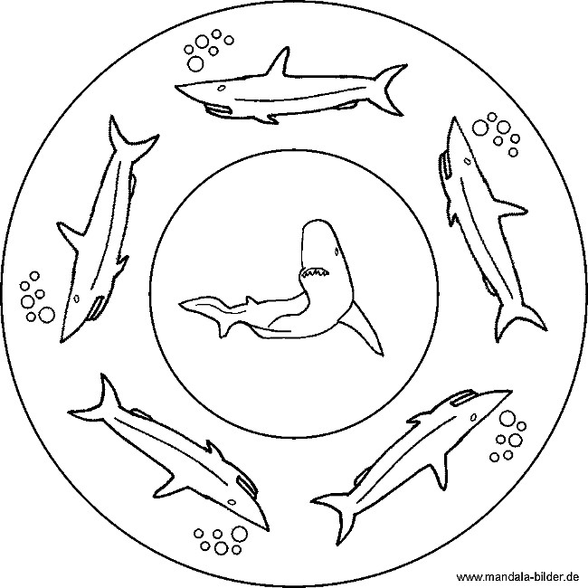 Ausmalbilder Haie
 Ausmalbilder hai kostenlos Malvorlagen zum ausdrucken