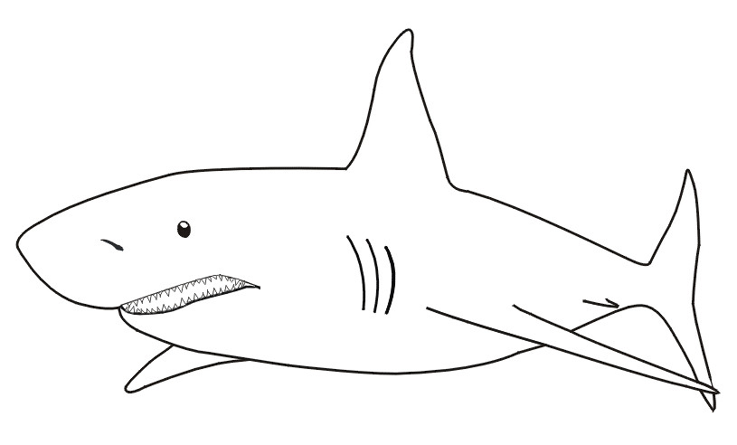 Ausmalbilder Haie
 Haie Malvorlagen Zum Ausdrucken shamsfo