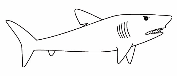 Ausmalbilder Haie
 Ausmalbilder Malvorlagen – Haifisch kostenlos zum