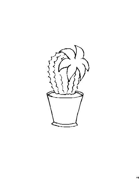 Ausmalbilder Kaktus
 Kleiner Kaktus Im Topf Ausmalbild & Malvorlage Blumen