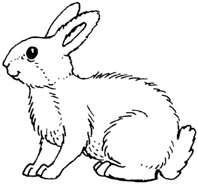 Ausmalbilder Kaninchen
 Ausmalbilder für Kinder Malvorlagen und malbuch