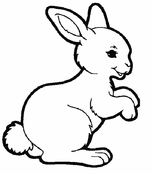 Ausmalbilder Kaninchen
 Kaninchen Malvorlagen Malvorlagen1001