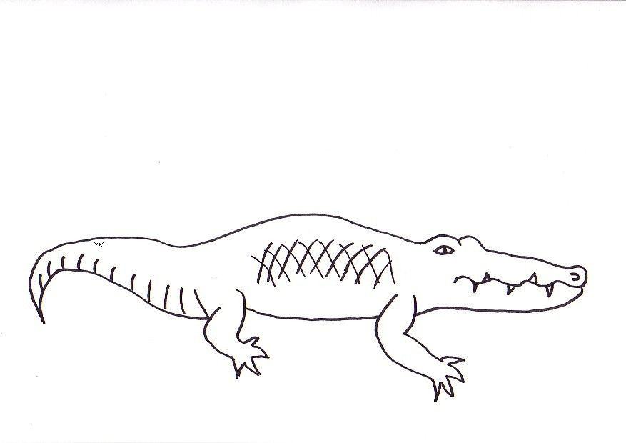 Ausmalbilder Krokodil
 Ausmalbilder krokodil kostenlos Malvorlagen zum