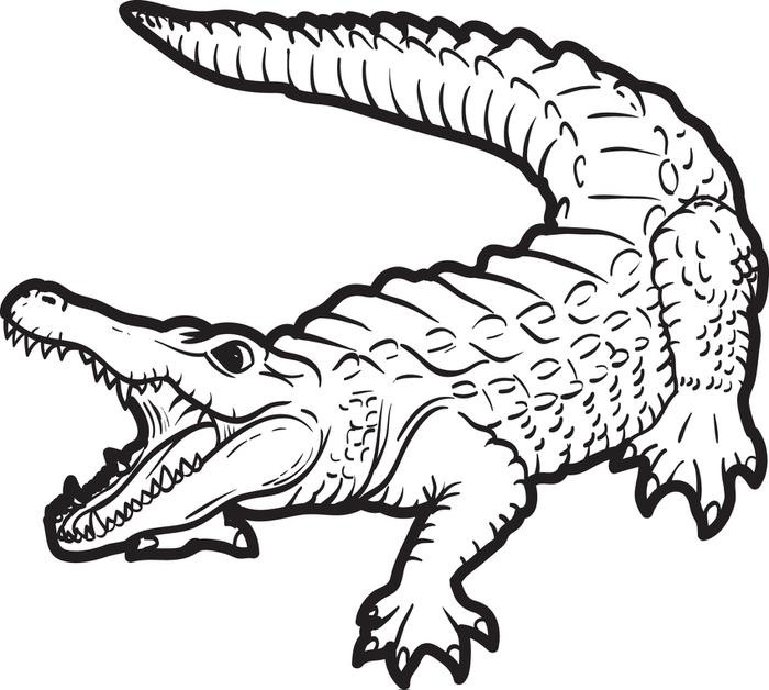Ausmalbilder Krokodil
 Malvorlagen fur kinder Ausmalbilder Krokodil kostenlos