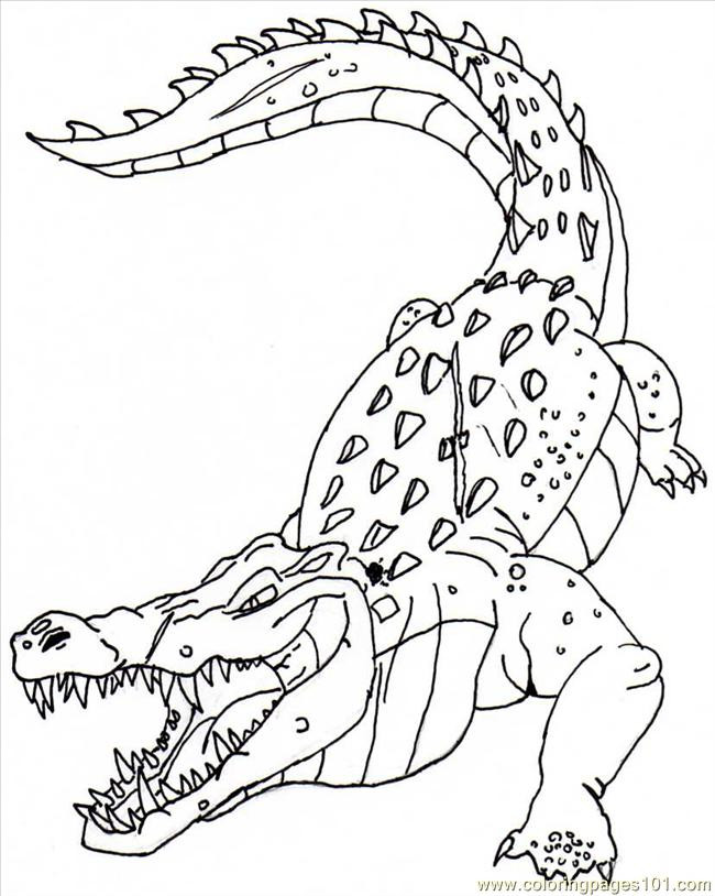 Ausmalbilder Krokodil
 KonaBeun zum ausdrucken ausmalbilder krokodil