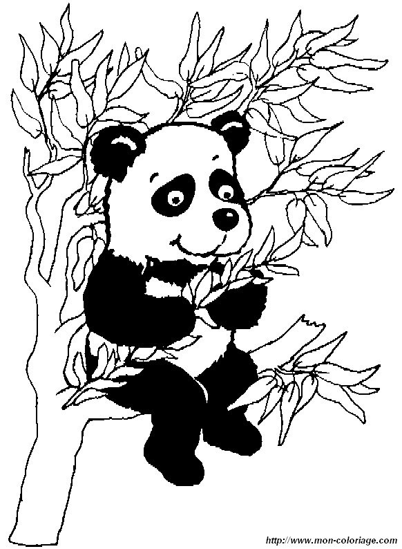 Ausmalbilder Panda
 Ausmalbilder Panda bild panda1