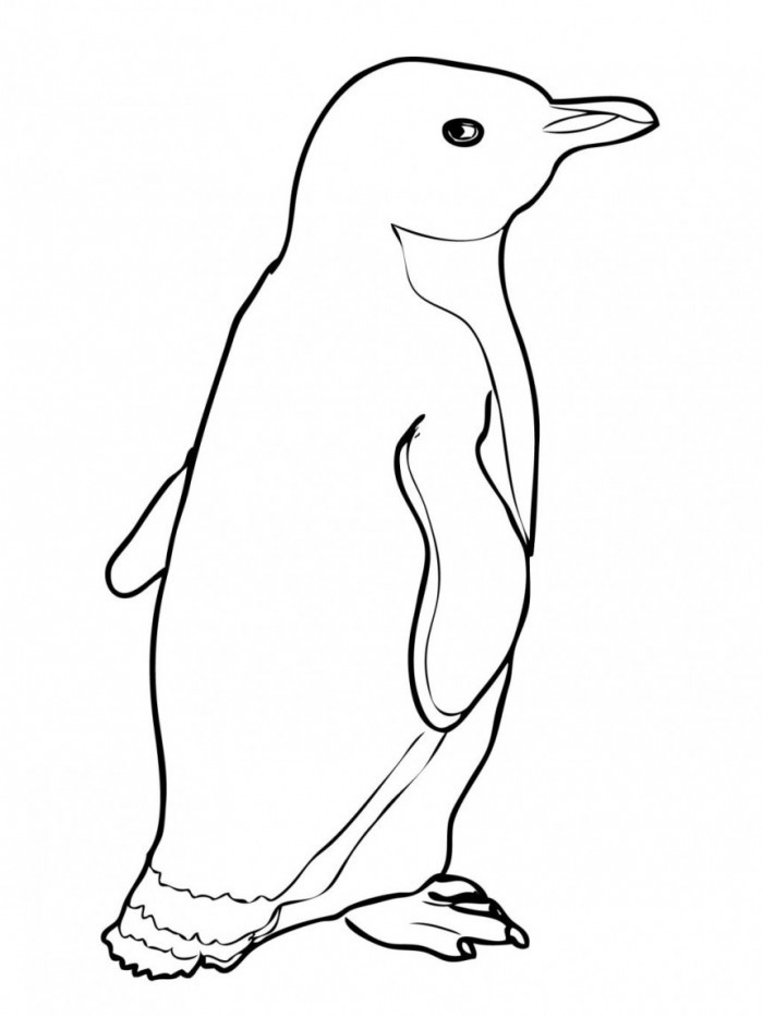 Ausmalbilder Pinguin
 KonaBeun zum ausdrucken ausmalbilder pinguin