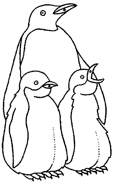 Ausmalbilder Pinguine
 Pinguin