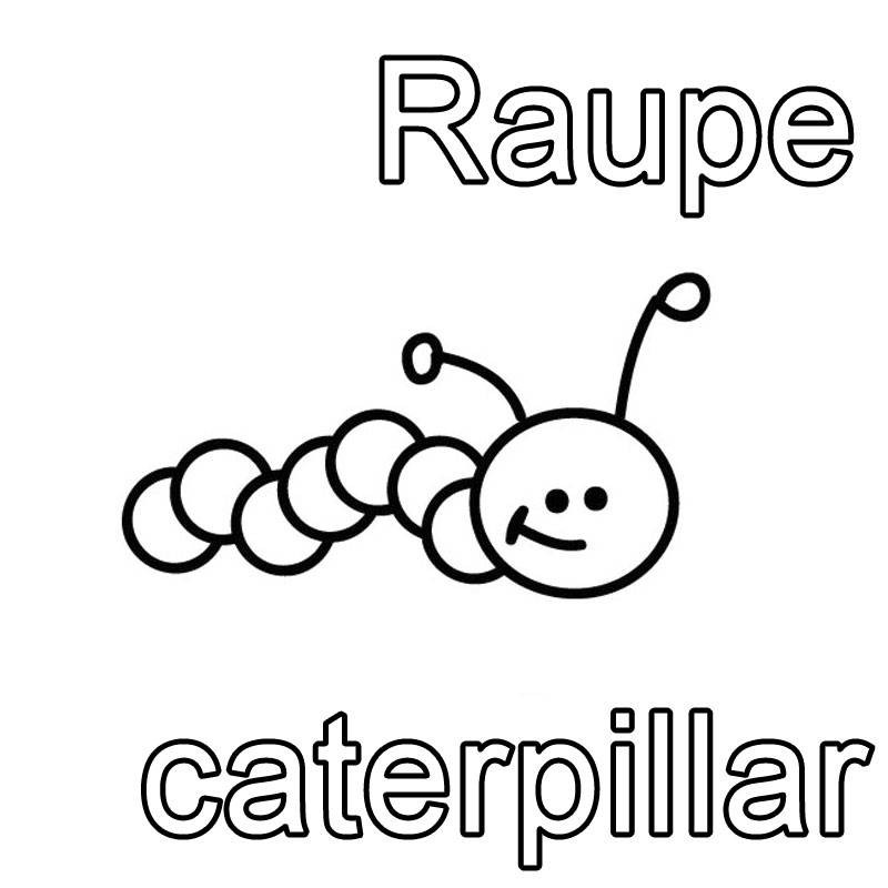 Ausmalbilder Raupe Nimmersatt
 Kostenlose Malvorlage Englisch lernen Raupe caterpillar