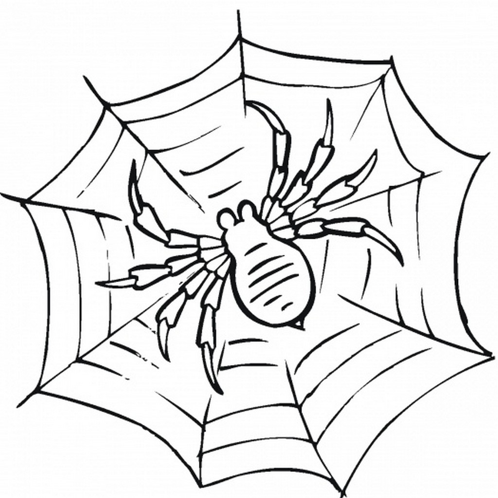Ausmalbilder Spinne
 Spinne Ausmalbilder Malvorlagentv