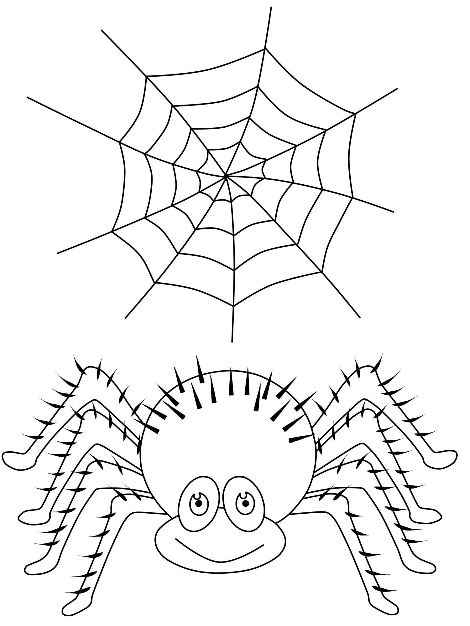 Ausmalbilder Spinne
 Kostenlose Malvorlage Halloween Spinne und Spinnennetz