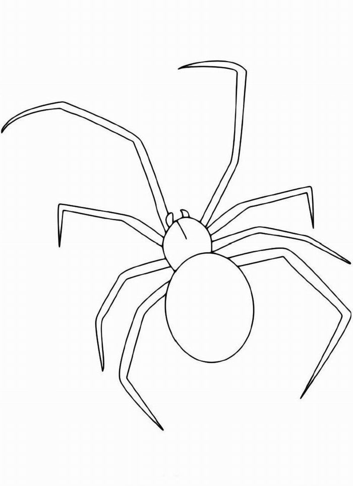 Ausmalbilder Spinne
 Ausmalbilder Malvorlagen – Spinne kostenlos zum