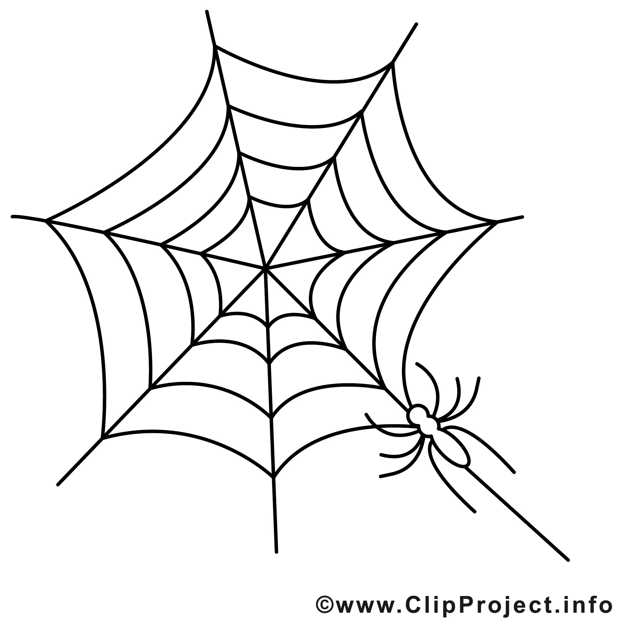 Ausmalbilder Spinne
 Spinne Ausmalbild gratis zum Ausdrucken