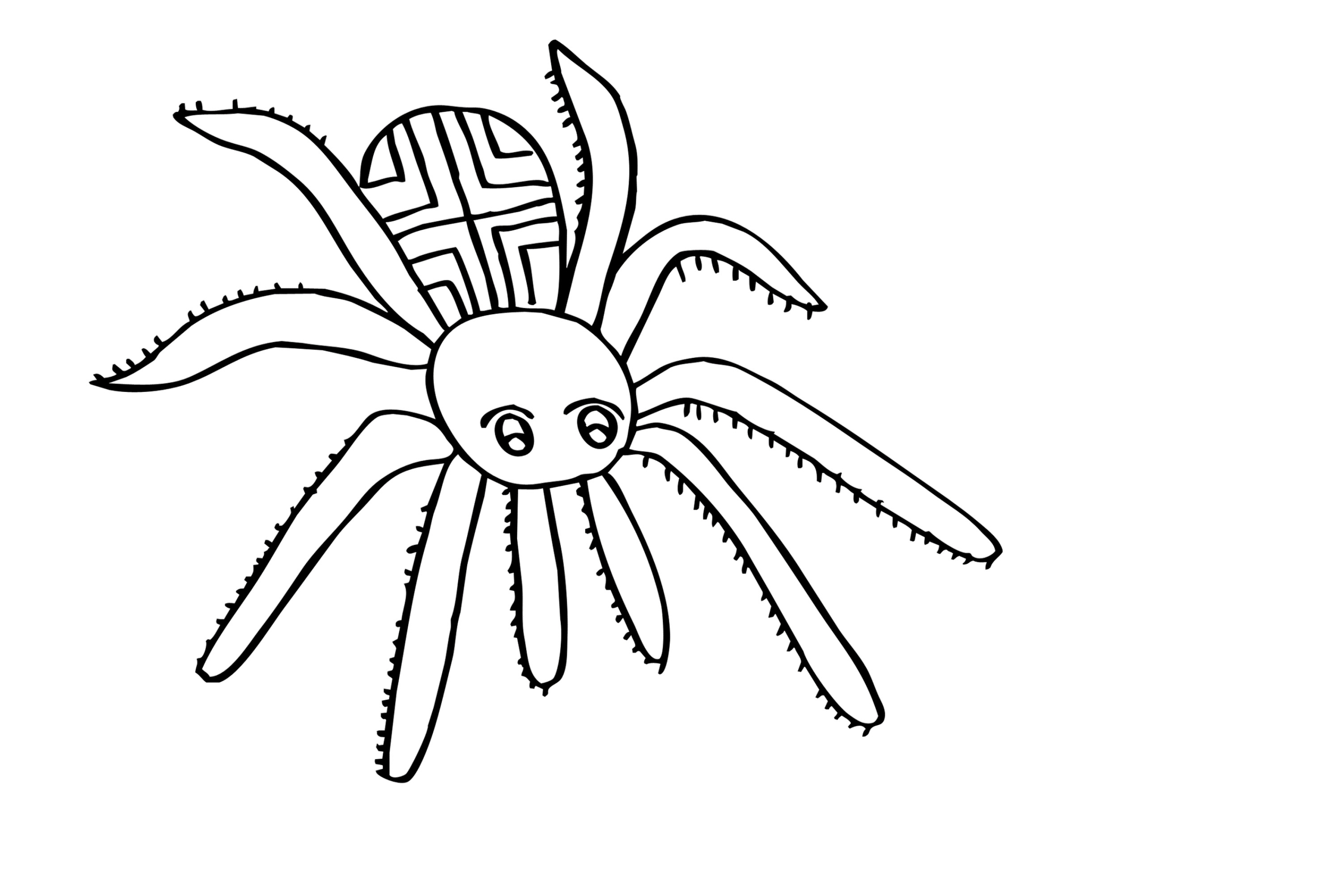 Ausmalbilder Spinne
 Malvorlagen zum Ausdrucken Ausmalbilder Spinne kostenlos 1