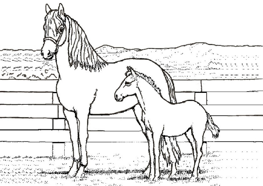 Ausmalbilder Zum Ausdrucken Pferde
 Pferde 2