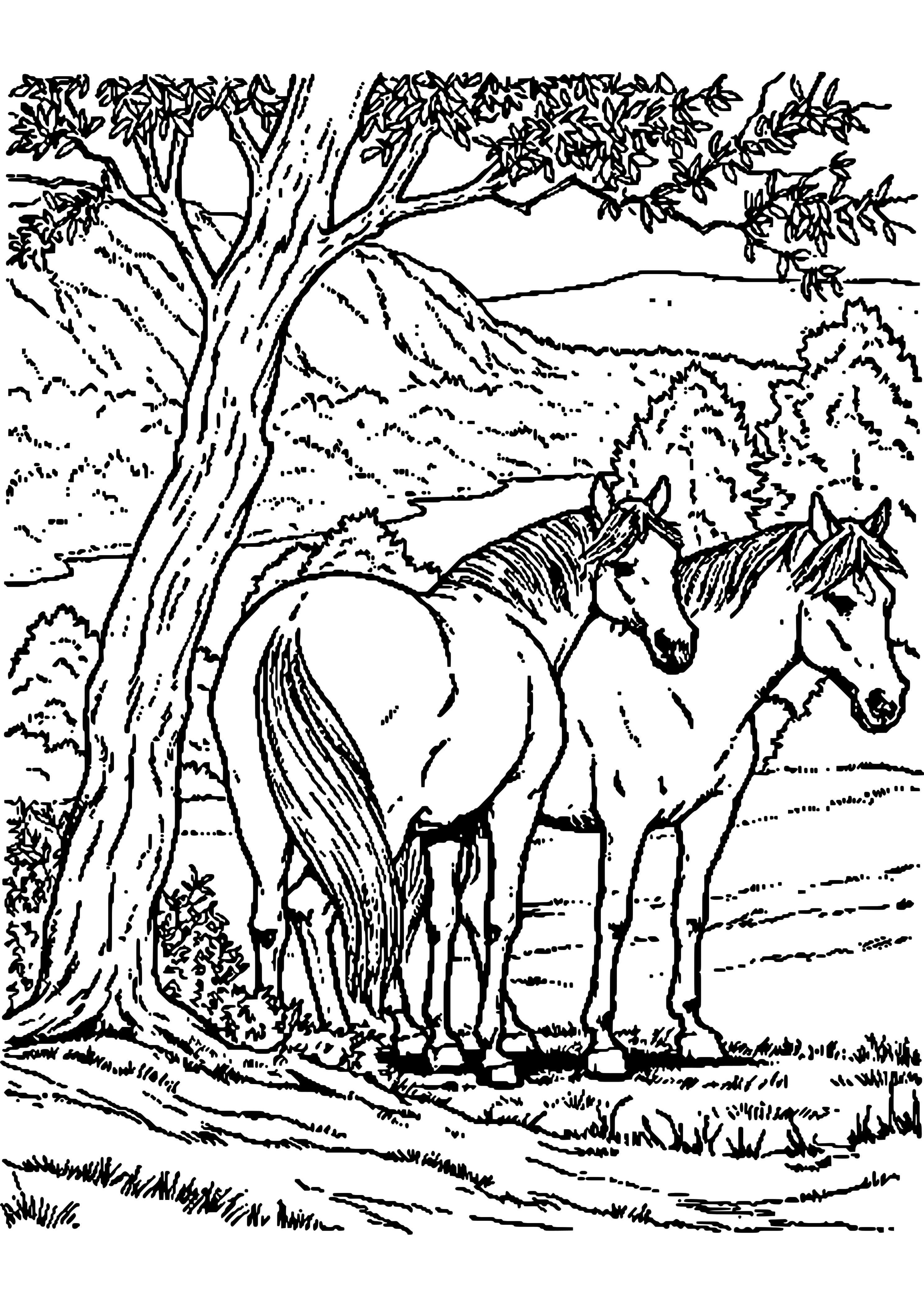 Ausmalbilder Zum Ausdrucken Pferde
 Ausmalbilder Erwachsene Pferde