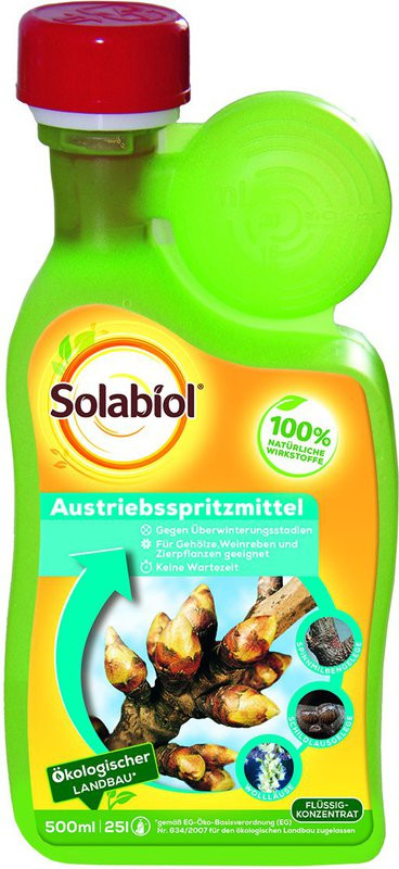 Bayer Garten
 Bayer Garten Austriebsspritzmittel 500 ml Preisvergleich