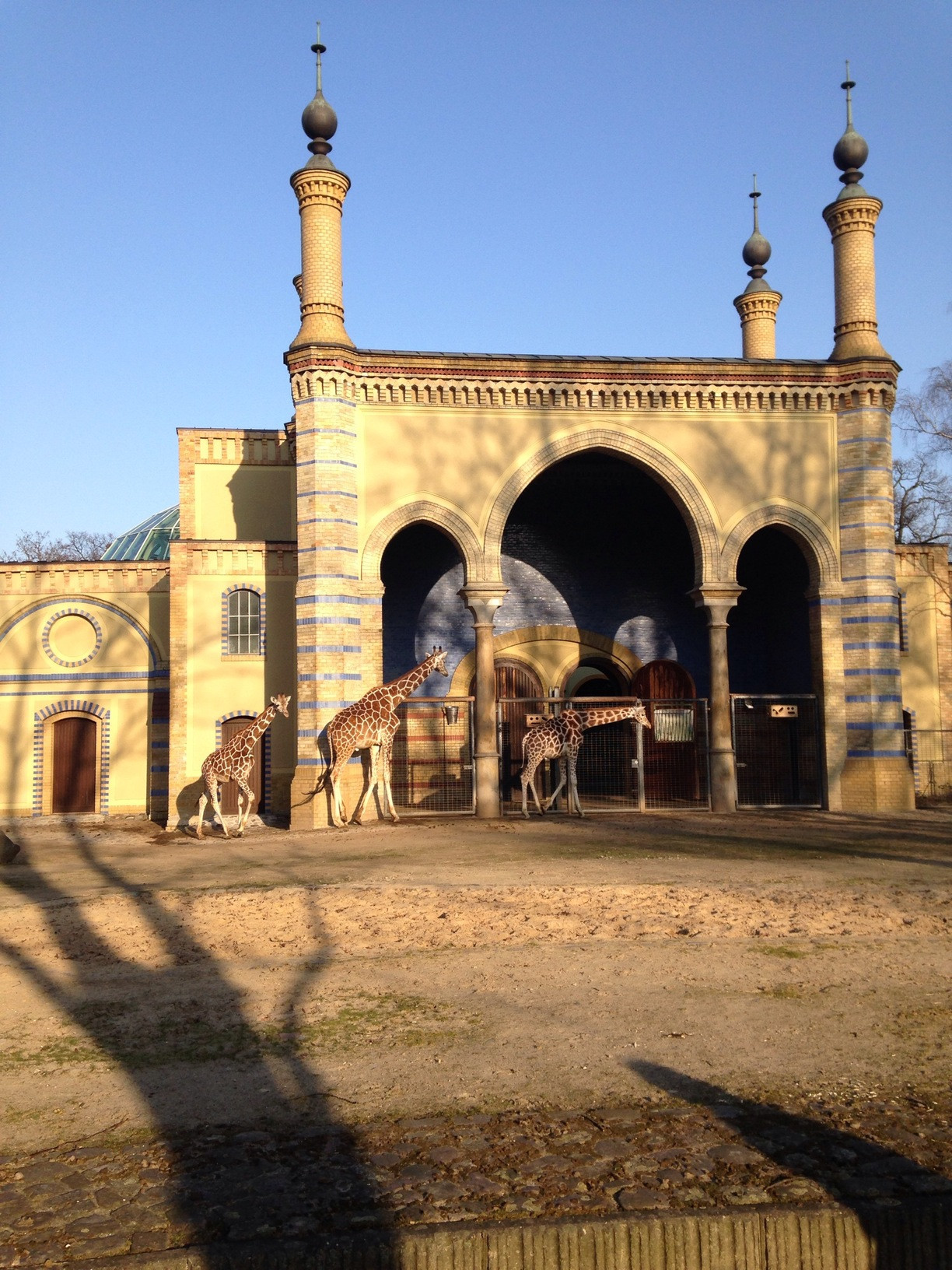 Berlin Zoologischer Garten
 Berlin Zoologischer Garten Berlin Germany Berlin zoo