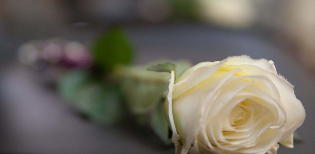 bundesverband deutscher bestatter Bestatter Handwerk
Bundesverband deutscher Bestatter e V Serafinum