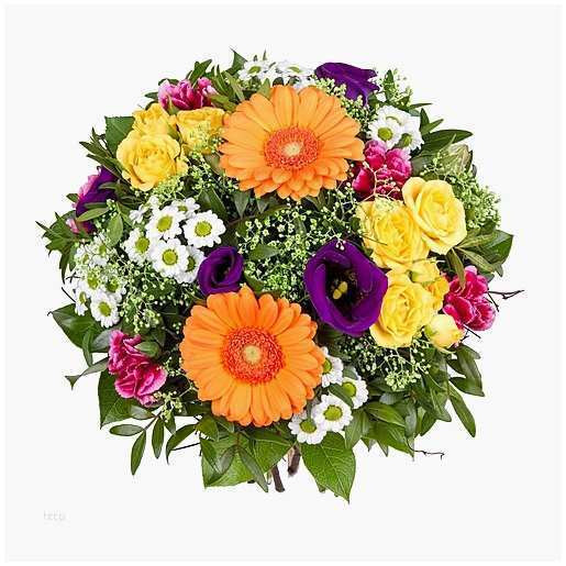 Blumen Geburtstag Bilder Kostenlos
 Blumen Geburtstag Bilder Kostenlos Luxus Blume Grafik