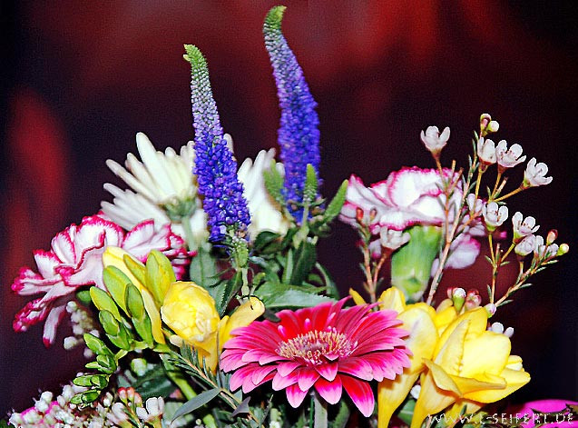 Blumen Geburtstag Bilder Kostenlos
 Blumenstrauß Blumenbilder zum Geburtstag Blumenstrauß