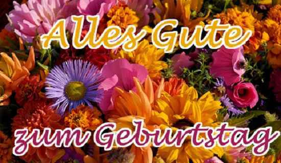 Blumen Geburtstag Bilder Kostenlos
 Geburtstag Blumen