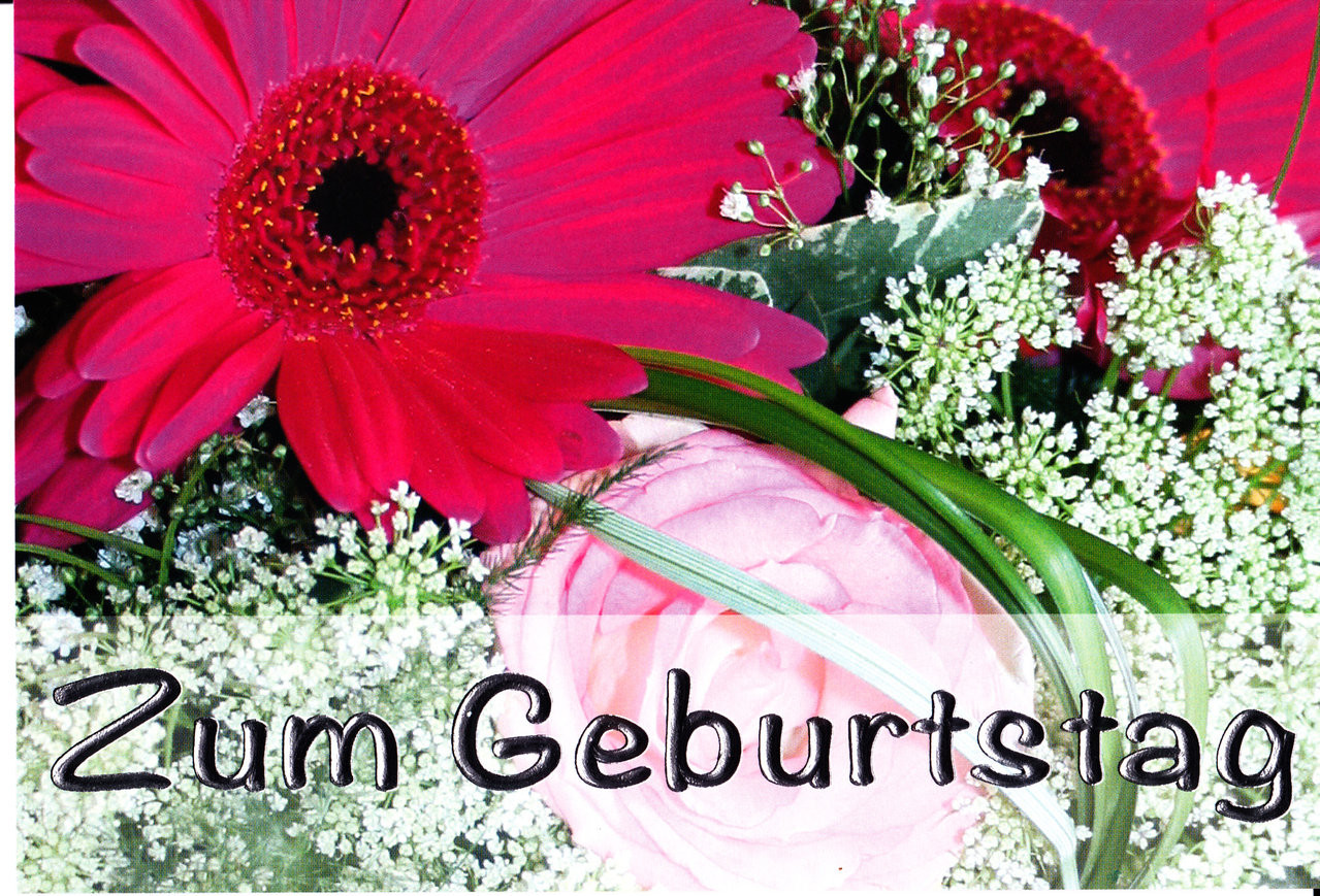 Blumen Sprüche Zum Geburtstag
 Geburtstag Blumen Lauretta Karten