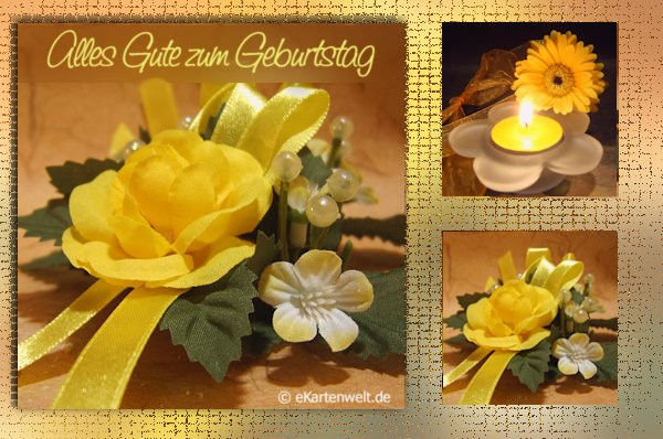 Blumen Zum Geburtstag Bilder
 50 Geburtstagsbilder von Blumen Alles Liebe zum Geburtstag