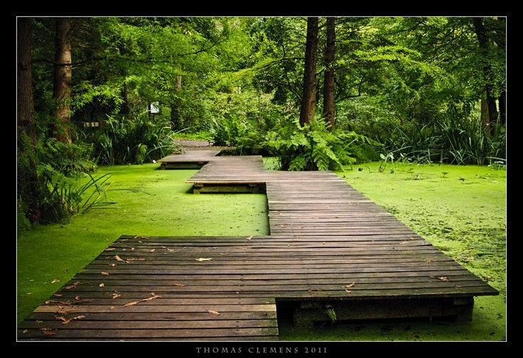 Botanischer Garten Bochum
 193 best images about Green Culture on Pinterest