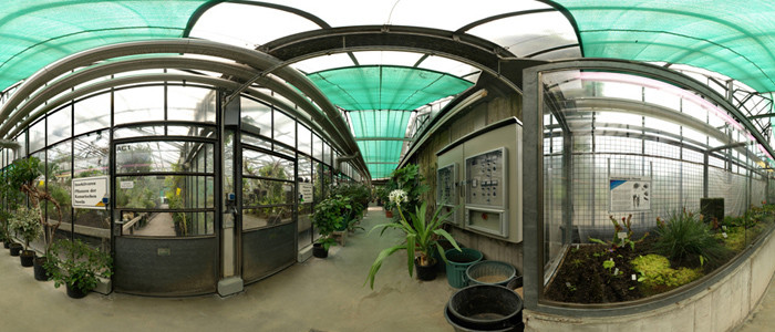 Botanischer Garten Bochum
 Ruhr Universität Bochum Bochum Scientific Collections