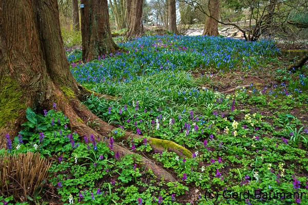 Botanischer Garten Bochum
 Botanischer Garten Bochum Gruppe7