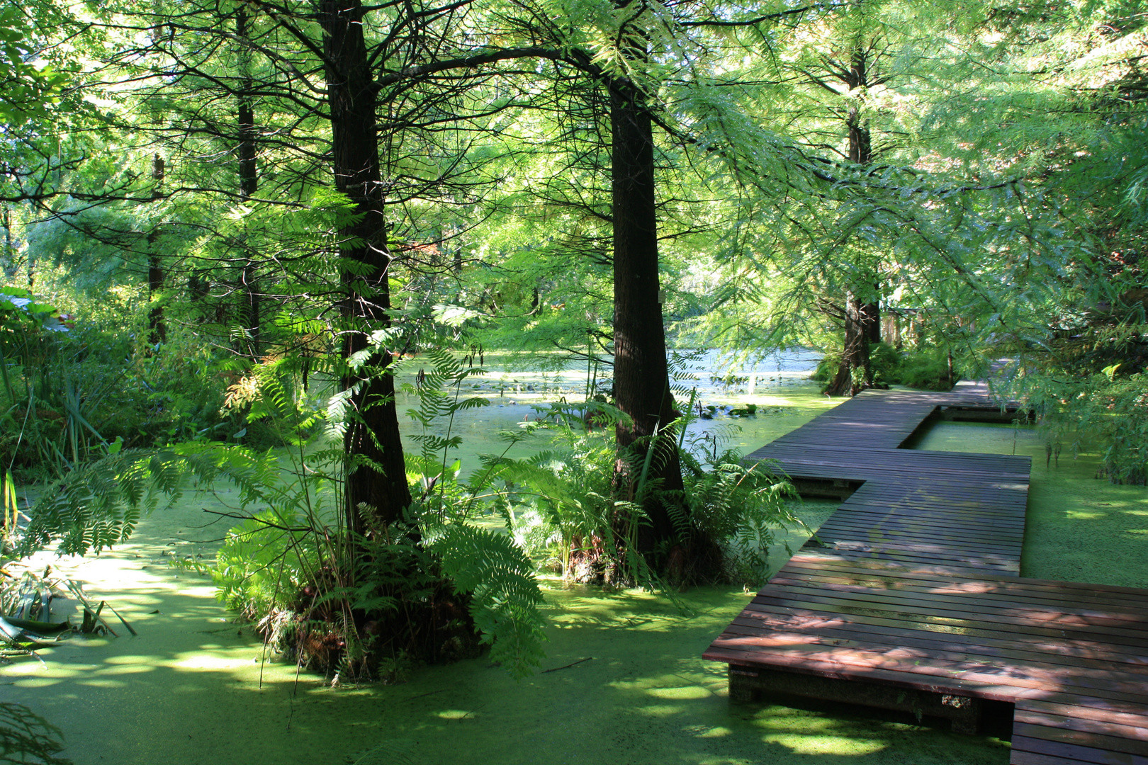 Botanischer Garten Bochum
 Botanischer Garten Bochum Natur Pur Foto & Bild