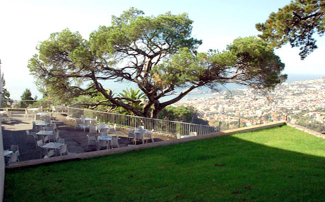 Botanischer Garten Funchal
 Madeira Seilbahn Funchal Monte Botanischer Garten
